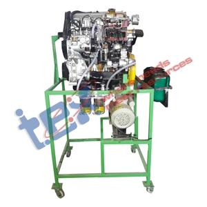 Cut Section 4 Stroke 4 Cylinder Diesel Engine